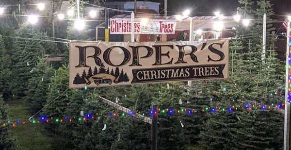 Ropers christmas trees